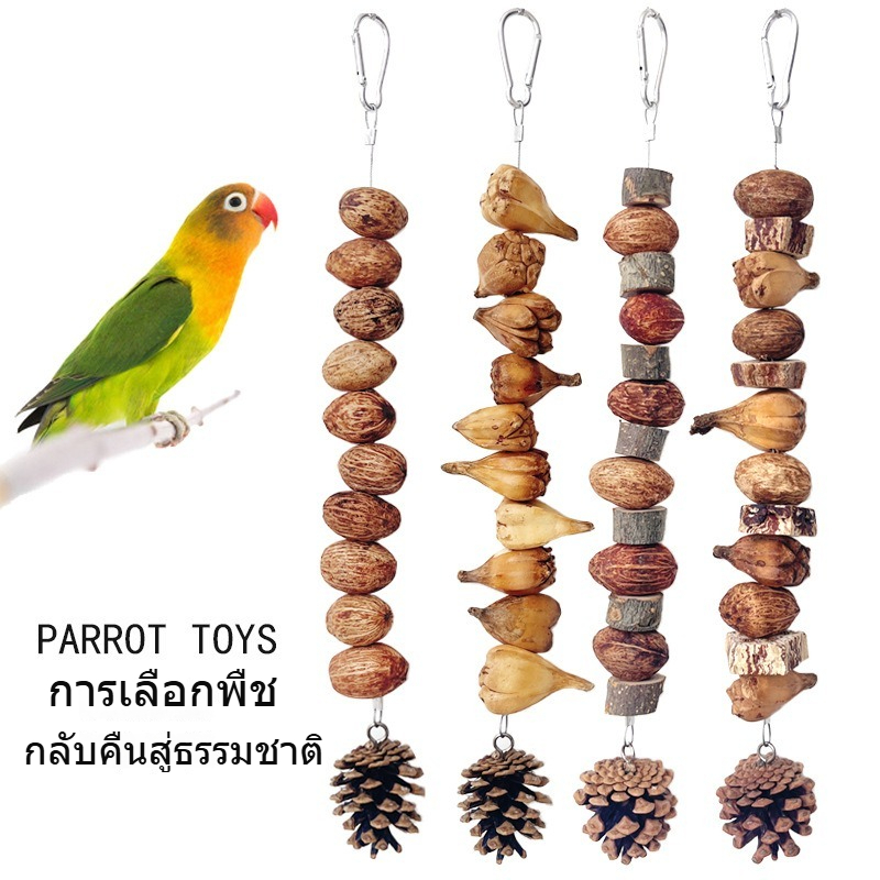 สายกัดนกขี้แก้ ไม้แอปเปิล สับปะรดป่า มะยี่ห้อ ถั่วผลไม้ กัดฟัน ปีนป่าย สำหรับนกหางลาย นกโรส นกคอก