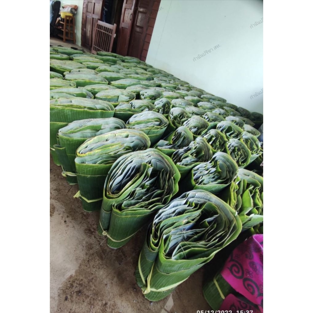 ใบตองตานีสุโขทัย ใบตองสด 3กิโล100บาท