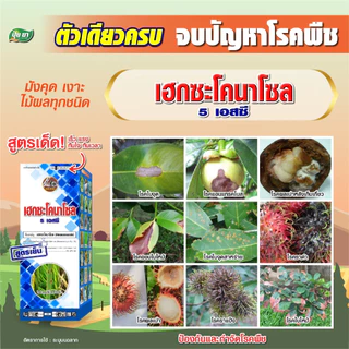 เฮกซะโคนาโซล ยาขัดผิว สูตรเย็น ผ่าดอกได้ สารป้องกันกำจัดโรคพืช กำจัดราดำ ราแป้ง ราใบจุด แอนแทรคโนส ใบไหม้ 1 ลิตร