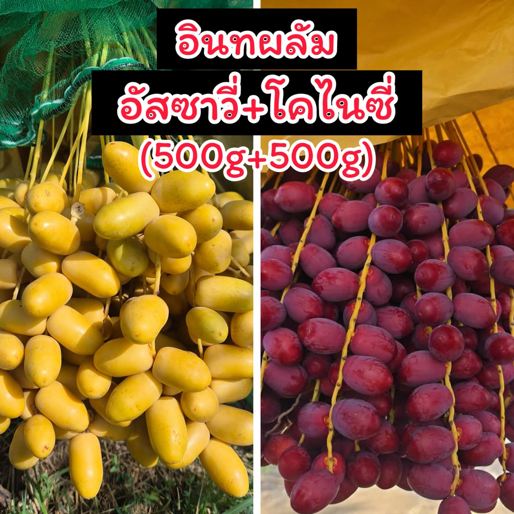 อินทผลัม 1 กิโล เซตคู่ (อัสซาวี่ 500g +โคไนซี่ 500g) ผลไม้สด ส่งตรงจากสวน