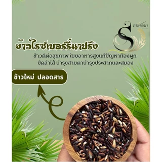 [ ขายดี ] ข้าวไรซ์เบอร์รี่นาปรัง ตราทรัพย์ธนา 1กิโลกรัม แพคสุญญากาศ หุงผสมก็อร่อย หุงล้วนก็ฟิน