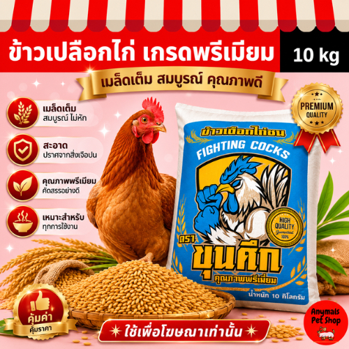 ส่งด่วน ! ส่งทันที ( 10kg. ) ข้าวเปลือกไก่ เกรดพรีเมียม