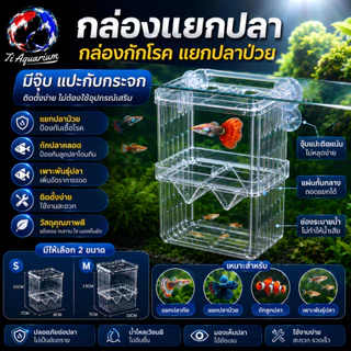 กล่องแยกปลา ติดกระจกด้านในตู้ปลา ด้วยจุ๊บยางใช้แยกปลาป่วย ปลาที่ต้องการดูแลเป็นพิเศษ