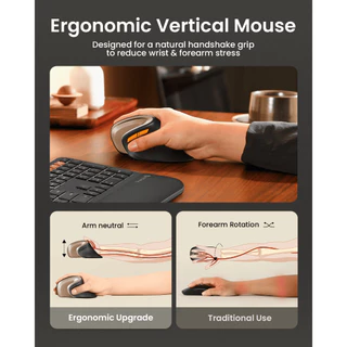 ProtoArc EM11 NL เมาส์แนวตั้ง Ergonomic ไร้สาย Bluetooth 2 ช่อง + 2.4G DPI 8000 ชาร์จได้ สีดำ-ทอง รับประกัน 2 ปี
