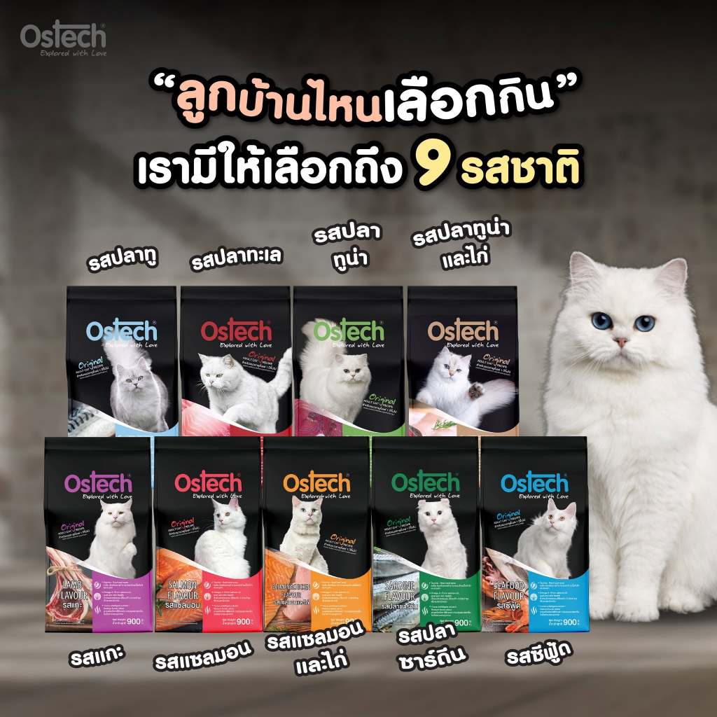 Ostech ออสเทค ออริจินอล อาหารเม็ดแมว1kg.