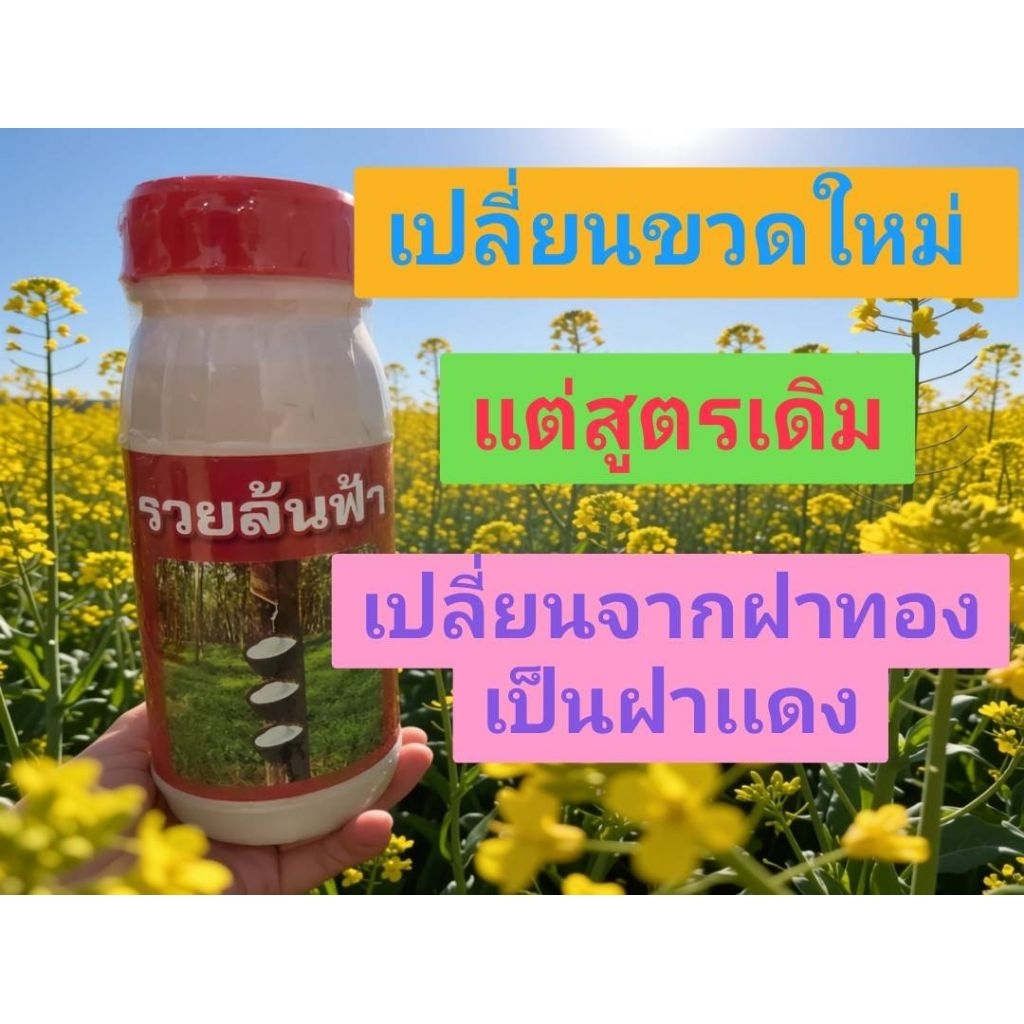 ยาทาหน้ายาง รวยล้นฟ้า สูตร 3 พลัง หน้ายางกรีดง่าย หน้ายางไม่เกิดรา ***สินค้าของแท้จากตัวแทนจำหน่ายหลัก***
