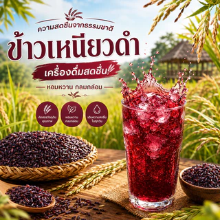 Mongkud น้ำผลไม้สดชื่น เครื่องดื่มผลไม้รวมรส หอมหวาน พร้อมดื่ม แพ็กหลายรส