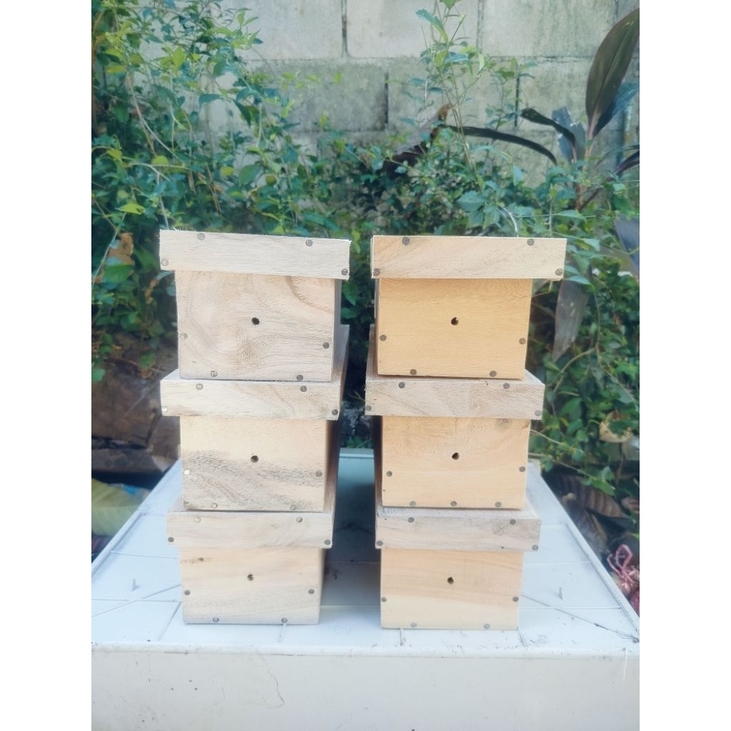 (ขั้นต่ำ 2 กล่อง)กล่องเปล่าสำหรับเพาะเลี้ยงชันโรง🐝🐝