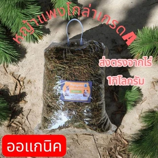 หญ้าแพงโกล่าแห้ง 1kg สำหรับสัตว์เลี้ยง