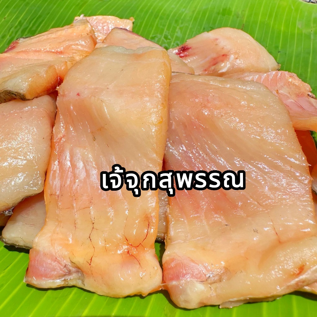 ปลาจีนหั่น แพค 500 กรัม สูตรเค็มน้อยจ้า