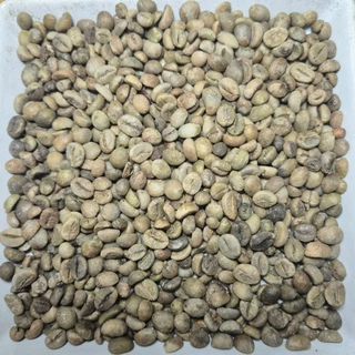 สารกาแฟโรบัสต้า ภาคใต้ ชุมพร Dry Process ปี 68-69 ขนาด 1 กิโลกรัม / Robusta Green Bean 1 KG.