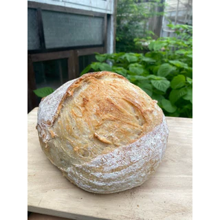 Sourdoughs Bread Plain Original 650g /300 g ขนมปังซาวโดว์ เพลน ออริจินอล ยีสต์ธรรมชาติ แป้งสาลีไม่ขัดสี #เจ