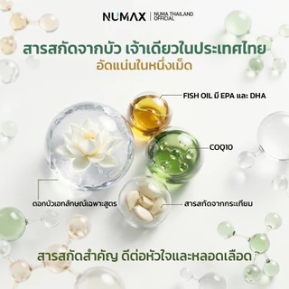 NUMAX บัวพลัส อาหารเสริมควบคุมความดัน วิตามินบัวหลวง (นูแม็กซ์ บัวพลัส )