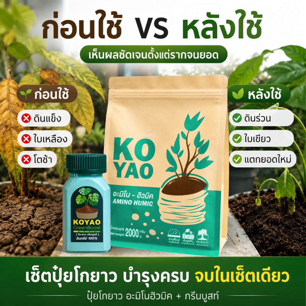 อะมิโน ฮิวมิค กรีนบูสท์ เร่งราก ต้นโตไว ใบเขียวเข้ม ดินดี โรคโคนเน่า สำหรับต้นไม้ ดอกไม้ ไม้ประดับ ผักสวนครัว พืชทุกชนิด