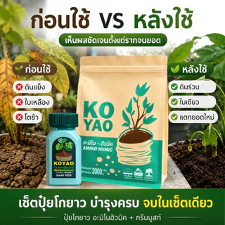 ปุ๋ยโกยาว กรีนบูสท์ ฮิวมิค ปุ๋ยอินทรีย์ เร่งราก เร่งโต เพิ่มความเขียว ใบหนา ใบมัน แตกยอดใหม่ ฟอร์มสวย รากเดินดี บำรุงดิน