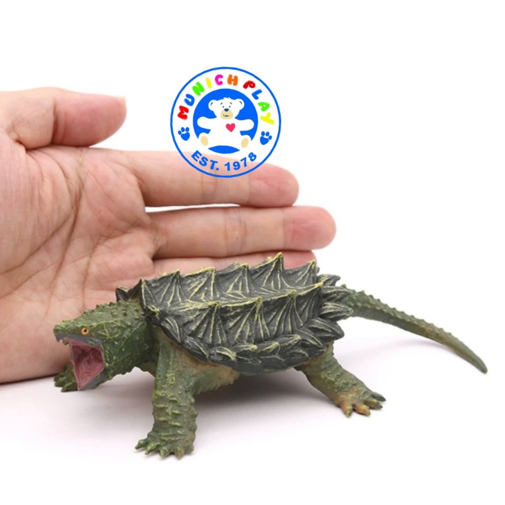 Munich Play โมเดลสัตว์ Alligator Turtle เต่า อัลลิเกเตอร์ เขียว ขนาด 15.00 CM (จากหาดใหญ่)