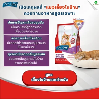 CAT n joy อาหารแมว สูตรเลี้ยงในบ้านและทำหมัน สำหรับแมวโต 1 ปีขึ้นไป รสแซลมอน ขนาด 400 กรัม