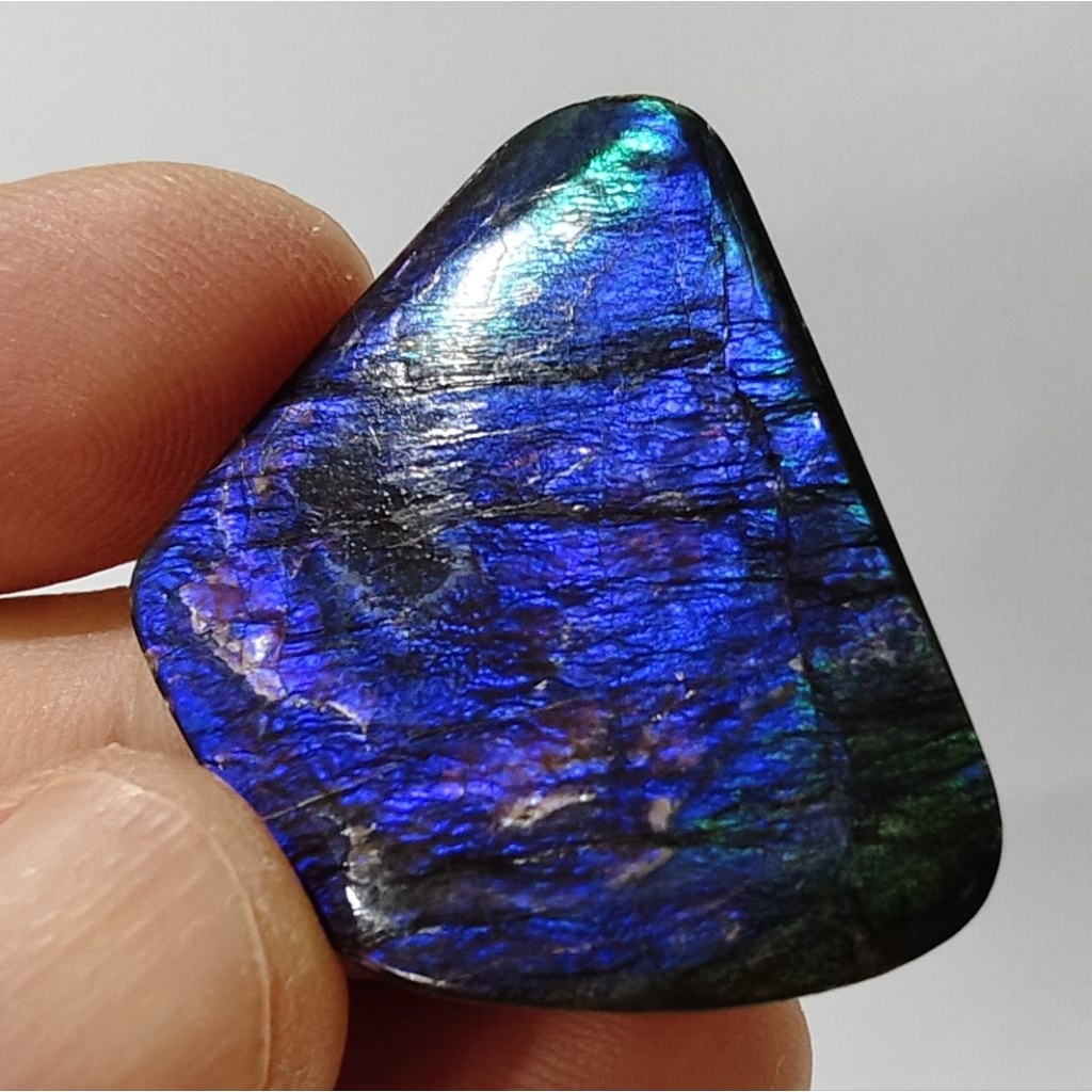 Ammolite แอมโมไลต์ (Ammolite) อัญมณีโลกล้านปีสุดหายาก อัญมณีนำโชค อัญมณีสะสม