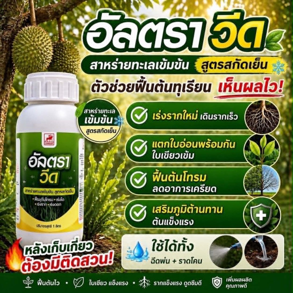 อัลตร้าวีด ขนาด 1 ลิตร สาหร่ายเข้มข้นสูตรสกัดเย็น แตกตาใบ แตกตาดอก ฟื้นต้นโทรม