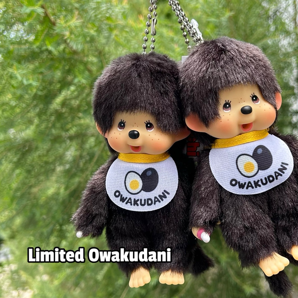 (พร้อมส่ง💥แมสได้🛵)พวงกุญแจม่อนชิชิ local limited เมืองในญี่ปุ่น🇯🇵
