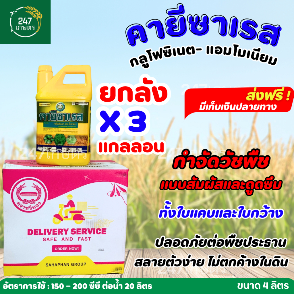 **ยกลัง3แกลลอน*คายีซาเรส กลูโฟซิเนต-แอมโมเนียม ตราหวีทอง 4 ลิตร ใช้ทดแทนพาราควอต กำจัดวัชพืชแบบสัมผัสและดูดซึม ทั้งใบแคบ