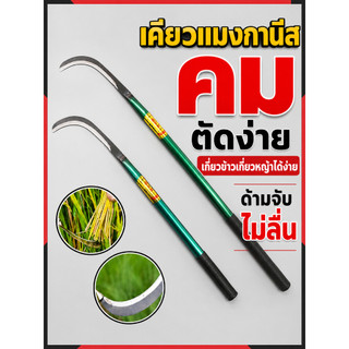 ส่งตรงจากกรุงเทพฯ พร้อมส่ง มีดขอด้ามยาว เหล็กแมงกานีส ใบมีดคมดี ทนทาน ใช้ถางหญ้า ถางป่า เกี่ยวข้าว งานสวนงานไร่ งานเกษตร