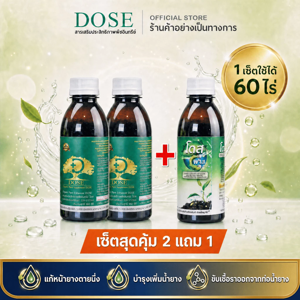 [ร้านค้าบริษัท] โดสเขียวโปร 2 แถม 1 [แถมถุงมือ] บำรุงยางพารา ฮอร์โมนพืช เร่งใบ เร่งต้น เร่งนํ้ายาง