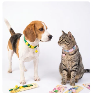 ปลอกคอสัตว์เลี้ยง pet collar แมวและสุนัข นุ่มสบาย ปรับสายได้ แมวและสุนัขพันธุ์เล็ก มีให้เลือกหลากสีพาสเทล