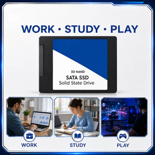 【จัดส่งตลอด 24 】250GB 500GB 1TB Blue SA510 SSD Solid state drives 6.0Gb/s Internal hard drive SATA3 2.5''