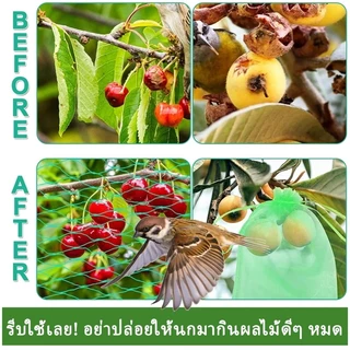 🐦กันนกได้ 100%🐦ตาข่ายป้องกันนก ตาข่ายกันนก ตาข่ายไนล่อน ต้านทานแรงดึงสูง เลี้ยงไก่เพื่อป้องกันการหลบ