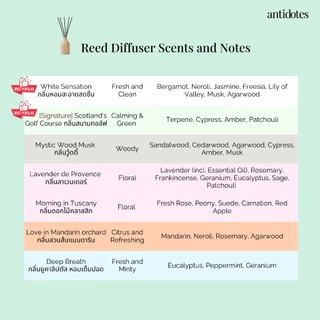 Antidotes Diffuser Oil Refill | น้ำมันหอมรีฟิลสำหรับก้านหอม 100ml 1 ขวด (ไม่รวมแจกันและก้าน)