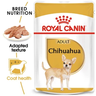 Royal Canin Chihuahua Adult อาหารเปียกสำหรับสุนัขสายพันธุ์ชิวาวาโตเต็มวัยอายุ 8 เดือนขึ้นไป