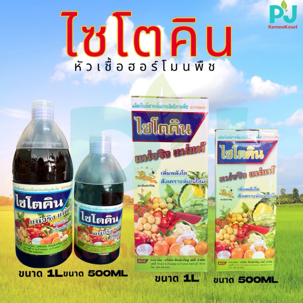 ไซโตคิน #หัวเชื้อฮอร์โมนพืช พืชโตเร็ว โตไว แตกราก แตกกอ ติดดอกติดผลดก ขนาด 1 ลิตร และ 500 มิลลิลิตร
