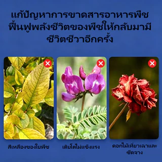 ปุ๋ยอินทรีย์เม็ด ปุ๋ยรองพื้นอินทรีย์เม็ด บำรุงดิน บำรุงราก เร่งการเจริญเติบโต เพิ่มผลผลิต ไม่ทำลายสิ่งแวดล้อม