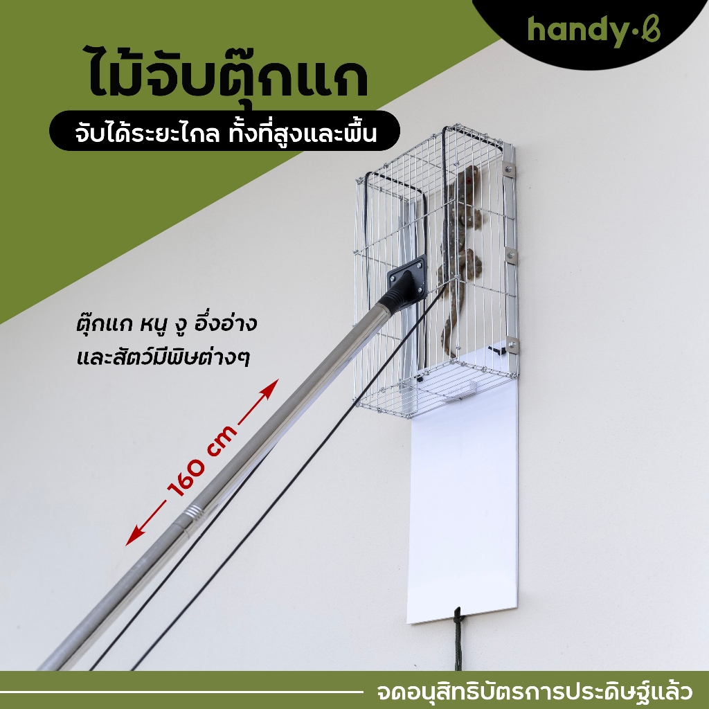 ไม้จับตุ๊กแก งู หนู อึ่งอ่าง และสัตว์มีพิษต่างๆ handy.b ไม้จับแมลง