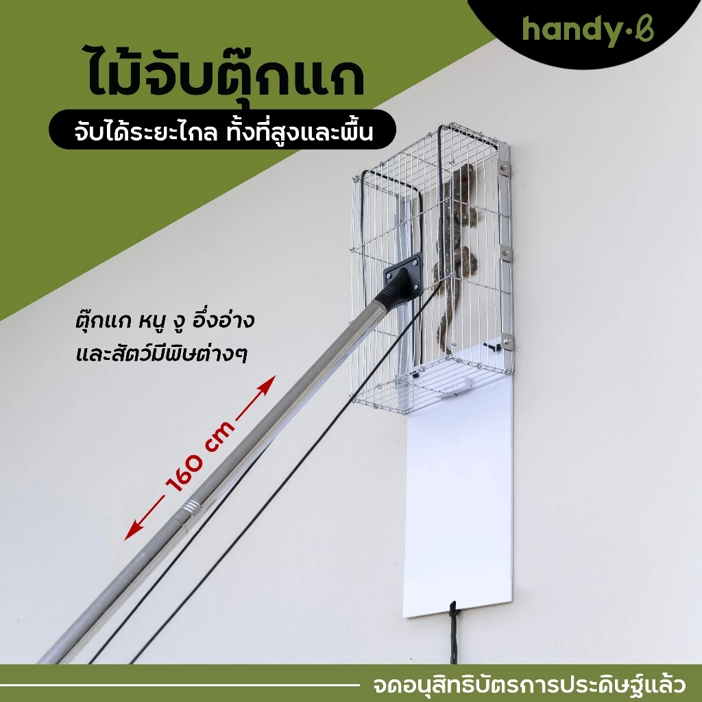 ไม้จับตุ๊กแก งู หนู อึ่งอ่าง และสัตว์มีพิษต่างๆ handy.b ไม้จับแมลง