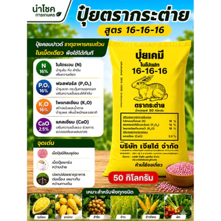 [ขนาด 50 กิโลกรัม] ปุ๋ยตรากระต่าย 16-16-16 กระสอบเหลือง และกระต่ายบลู ปุ๋ยสูตรเสมอ บำรุงต้น ใบ ผล