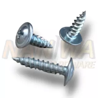 Naniwa สกรูหัวเวเฟอร์ ปลายแหลม สีขาว (100ตัว) (HJ) สกรูปลายแหลมหัวนูน