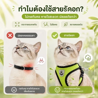 สายจูงแมว สายจูงสุนัข เชือกจูงแมว สายจูงหมา สายจูง สําหรับสัตว์เลี้ยง สุนัข แมว กระต่าย ขนาดเล็ก