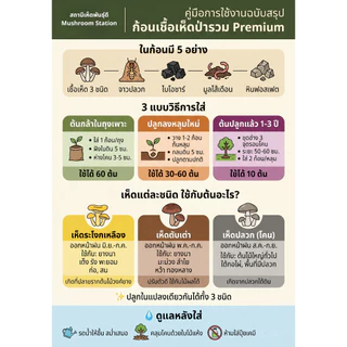 เชื้อเห็ดป่ารวม ระโงก ตับเต่า ปลวก