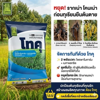 โพรพาโมคาร์บ+เมทาแลกซิล (โทคุ) ขนาด 1 กิโลกรัม สูตรเย็น ผ่าดอกได้ เก่งเรื่องเน่าในผลไม้ รากเน่าโคนเน่า ไฟทอป ฟิวซาเรียม