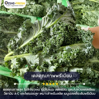 🛒Oishi-Fresh 🥬ผักเคล ปลอดสารพิษ 1 กก. รสชาติกรอบ สด ใหม่ ใยอาหารสูง หวานออร์แกนิค ผัก เคลมได้ 1-2 วัน