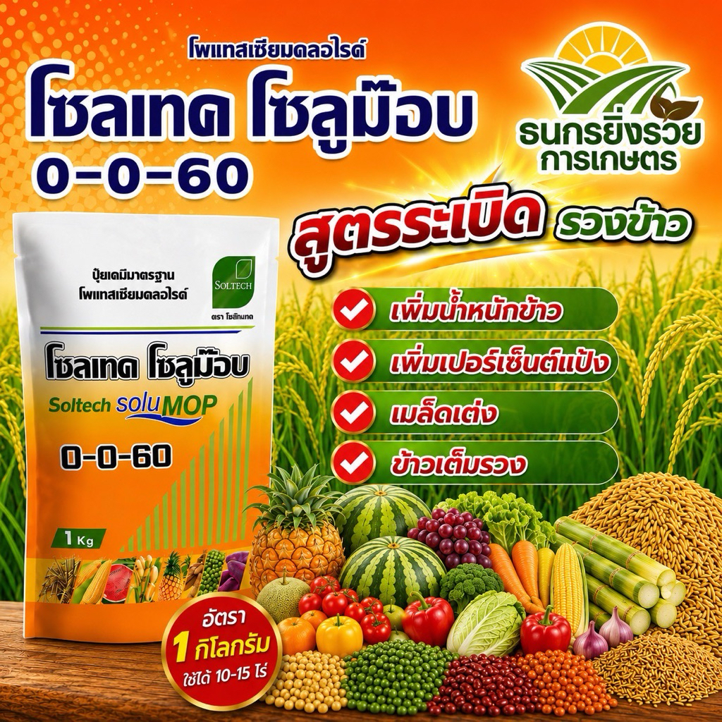 0-0-60 ปุ๋ยเกร็ด โซลเทค เร่งลูก สร้างแป้ง เพิ่มน้ำหนัก1 กิโล