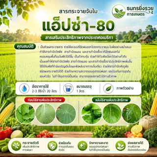 แอ็ปซ่า-80 ยาจับใบที่ดีที่ชานนาเลือกใช้