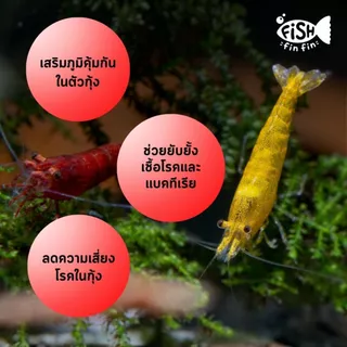 อาหารกุ้งแคระ อาหารกุ้งเครย์ฟิช เม็ดจม เร่งสี ลอกคราบไว น้ำไม่ขุ่น I Fishfinfin