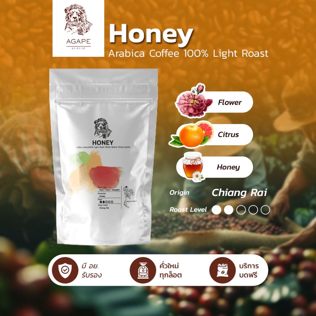 เมล็ดกาแฟคั่วอ่อน อาราบิก้าไทย 100% (Honey) เชียงราย คั่วใหม่ บดฟรี มี อย. 250g