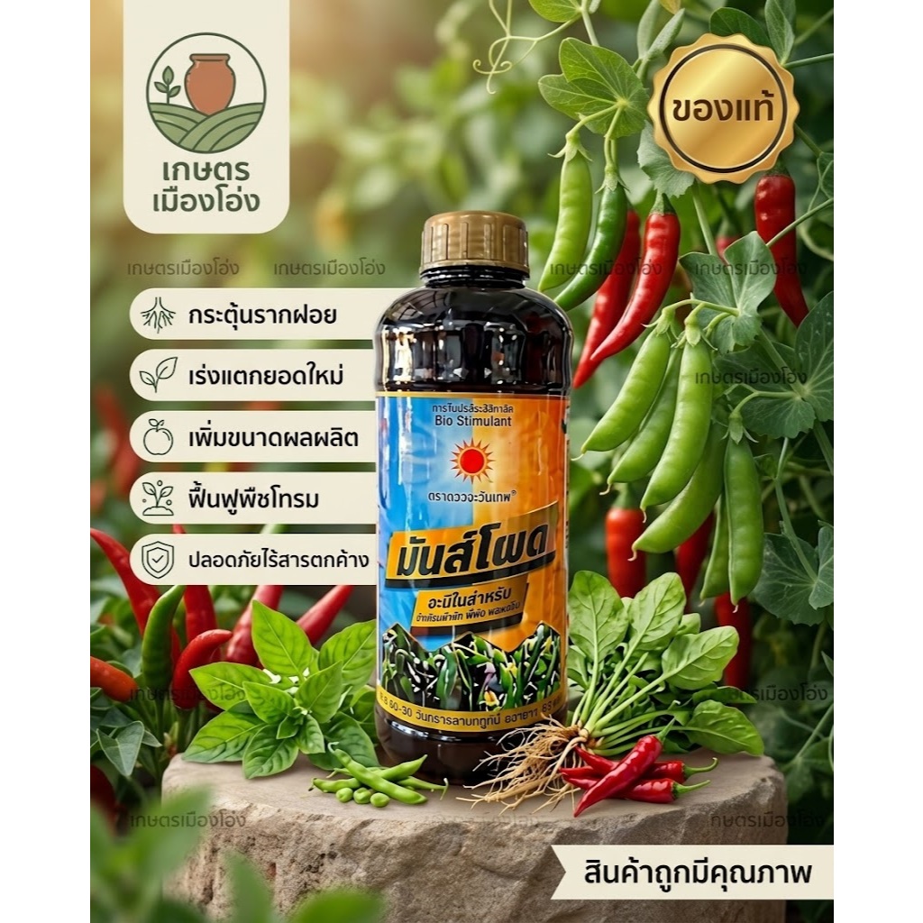 อะมิโนมันส์โพด ขนาด 1 ลิตร สำหรับมันสำปะหลังและข้าวโพด ช่วยใหญ่ลำต้นใหญ่ ใบเขียว โตเร็ว #มันโพด
