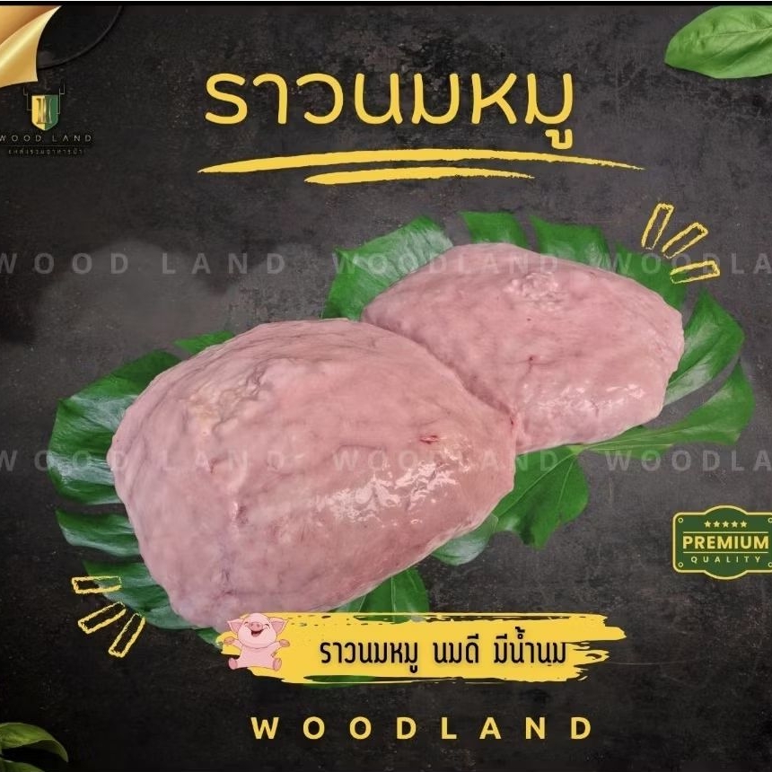 ราวนมหมูนมดีเกรดA แพ็คครึ่งกิโลกรัม เมนูเด็ดๆแนะนำย่างเด็ดมาก  หอมนุ่มกรุบกรอบไม่เหนียว