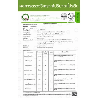 COUNTDOWN PLUS Pea Protein Hydrolyzed โปรตีนถั่วลันเตา ไฮโดรไลซ์ รสออริจินัล 750g. อร่อย ไม่สากคอ