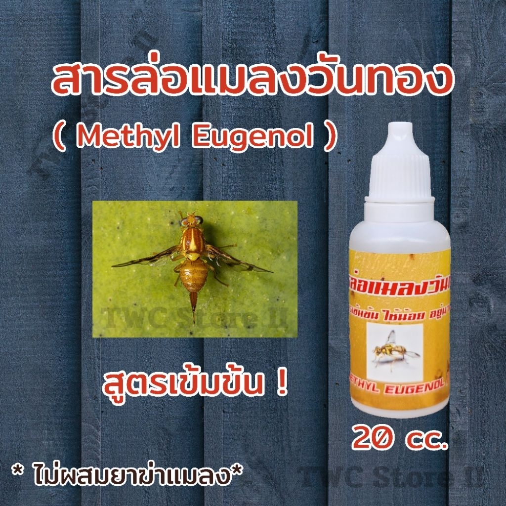 สารล่อแมลงวันทอง สูตรเข้มข้น เมทิลยูจินอล 20 cc. Methyl Eugenol กำจัดแมลงวันทอง แมลงวันผลไม้